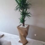 Pot 80 cm torsadé doré avec Yucca
