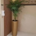 Élégant pot de 90 cm avec Areca