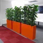 Jardinières avec Trois Pothos