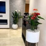 Pot avec Support et Anthurium