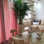 Un areca palm se dresse élégamment dans un pot 1 maitre cylindrique de couleur neutre