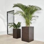 Pot carré moderne 80cm-H 35 cm-L – Areca élégant