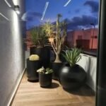 Collection de 6 Pots Noirs