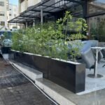 Jardinière Rectangulaire en Polystone – 1 mètre x 60 cm x 30 cm