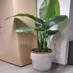 Pot Cylindrique en Polystone – 60 cm